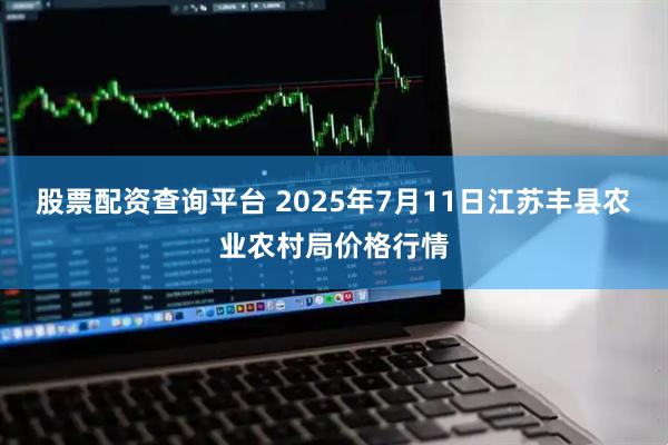 股票配资查询平台 2025年7月11日江苏丰县农业农村局价格行情